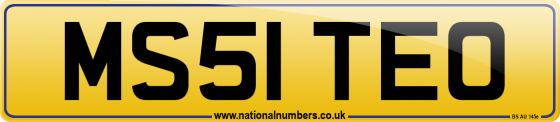MS51 TEO