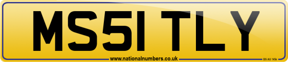 MS51 TLY