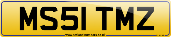 MS51 TMZ