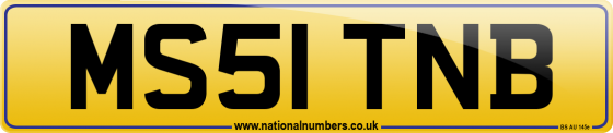 MS51 TNB