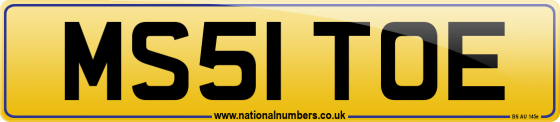 MS51 TOE