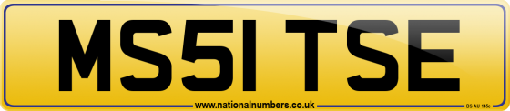MS51 TSE