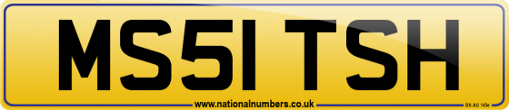 MS51 TSH