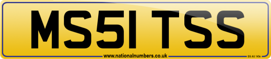 MS51 TSS