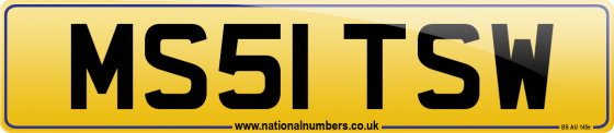 MS51 TSW
