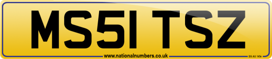 MS51 TSZ