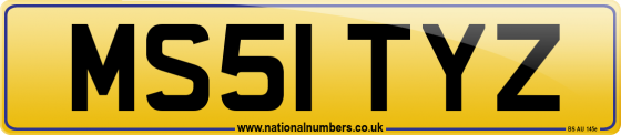 MS51 TYZ