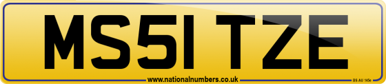 MS51 TZE