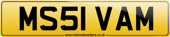 MS51 VAM