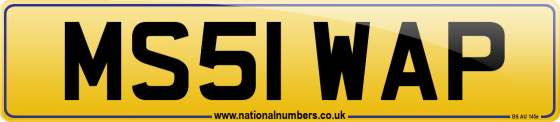 MS51 WAP