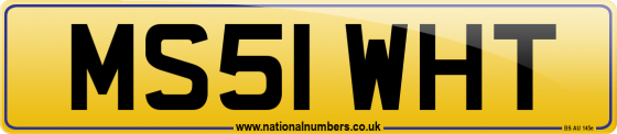 MS51 WHT