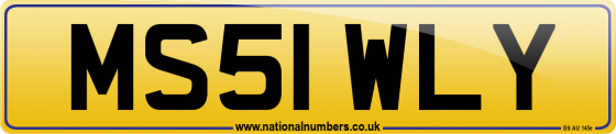MS51 WLY