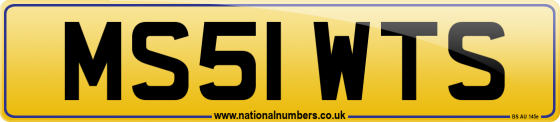 MS51 WTS