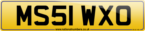 MS51 WXO