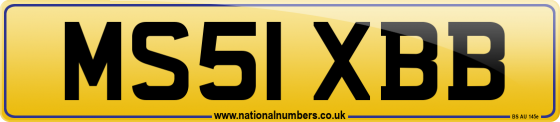 MS51 XBB
