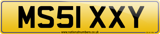 MS51 XXY