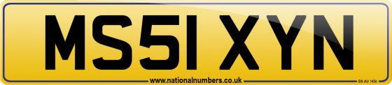 MS51 XYN