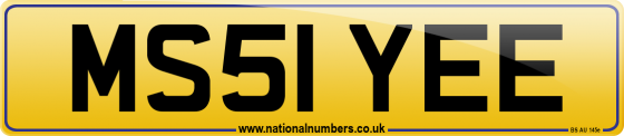 MS51 YEE