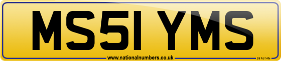 MS51 YMS
