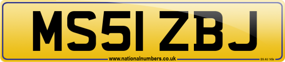 MS51 ZBJ