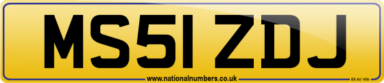 MS51 ZDJ