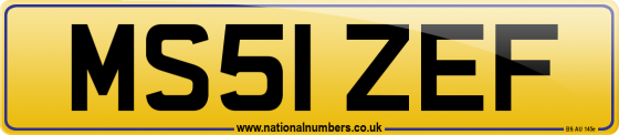 MS51 ZEF