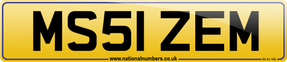 MS51 ZEM