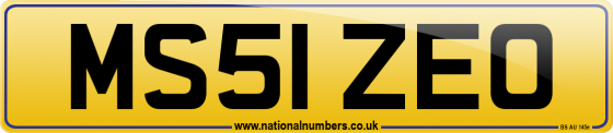 MS51 ZEO