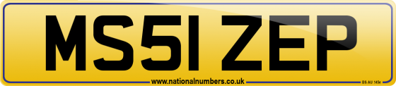 MS51 ZEP