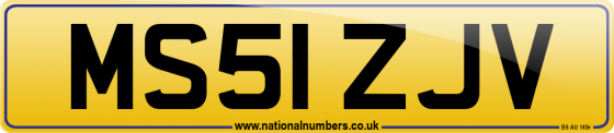 MS51 ZJV