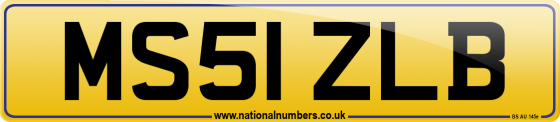 MS51 ZLB