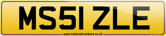 MS51 ZLE
