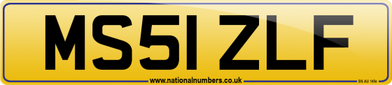 MS51 ZLF