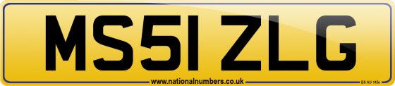 MS51 ZLG