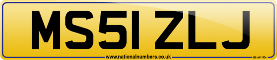 MS51 ZLJ