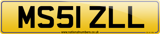 MS51 ZLL