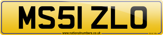 MS51 ZLO