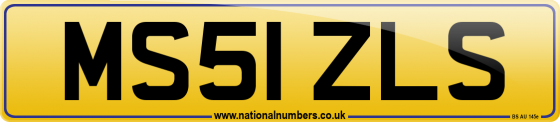 MS51 ZLS