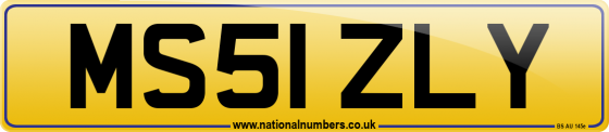 MS51 ZLY