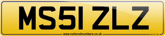 MS51 ZLZ