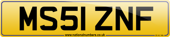 MS51 ZNF