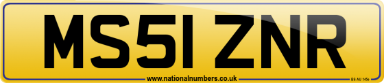MS51 ZNR