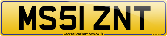 MS51 ZNT