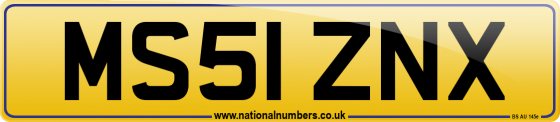 MS51 ZNX