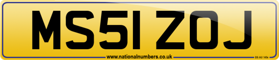 MS51 ZOJ