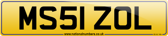 MS51 ZOL