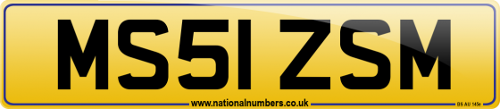 MS51 ZSM