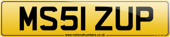 MS51 ZUP