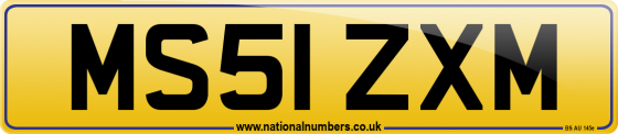 MS51 ZXM