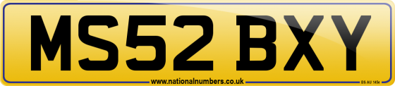 MS52 BXY